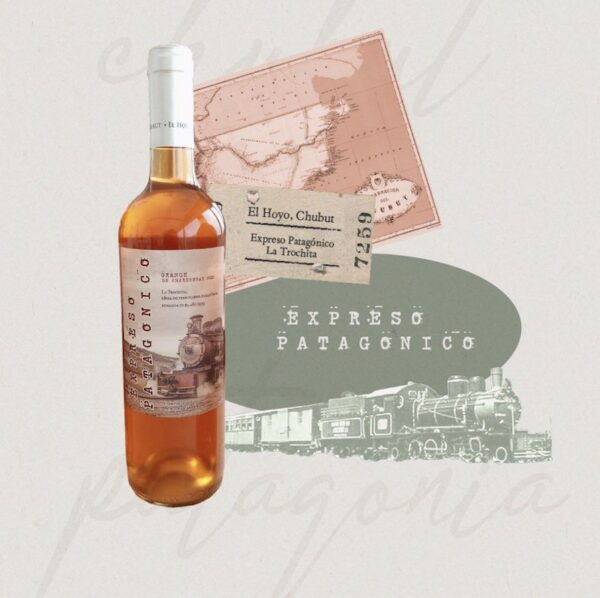 Orange - Chardonnay