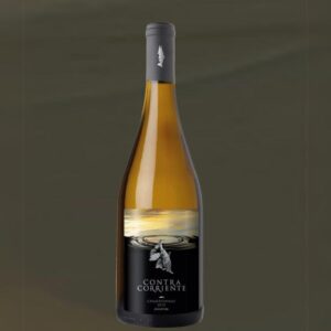 Chardonay 2020