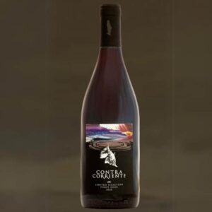 Pinot Noir | 2020